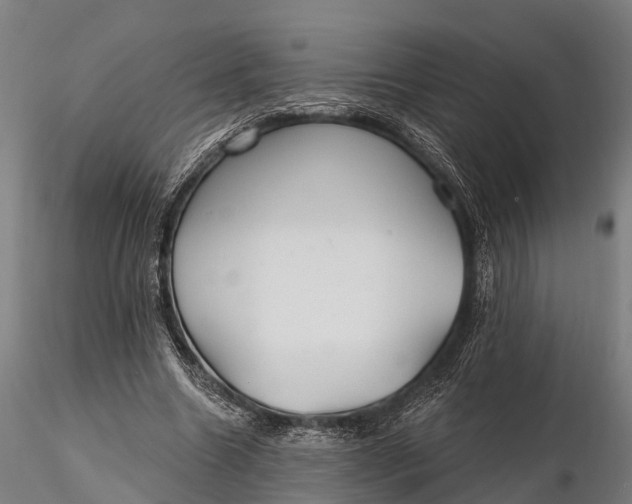 X0000115690538200912031445