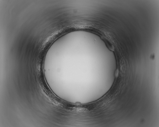 X0000115690539200912031445