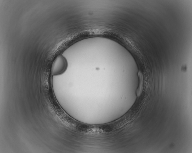 X0000115690543200912031445