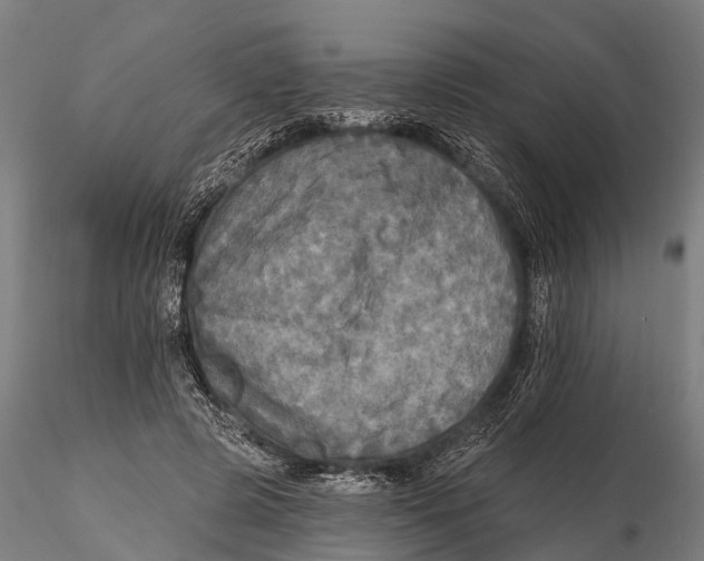 X0000115690545200912031445