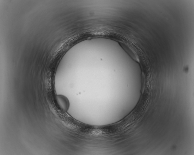 X0000115690547200912031445