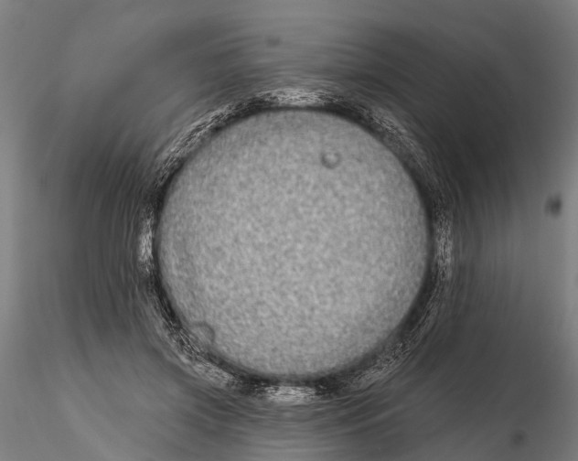 X0000115690549200912031445