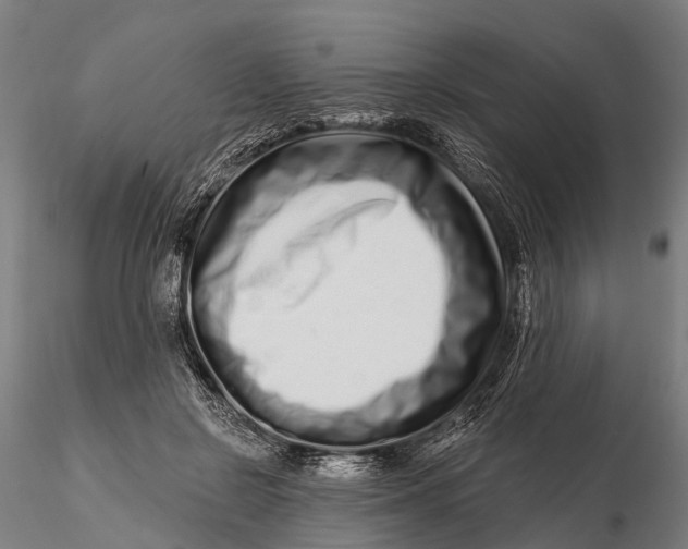 X0000115690550200912031445