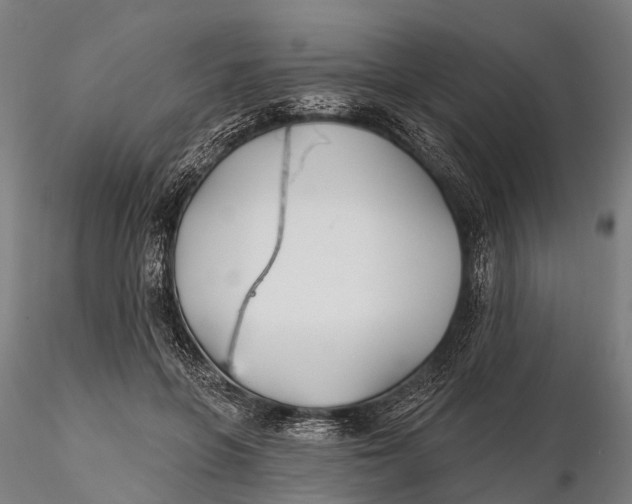 X0000115690551200912031445