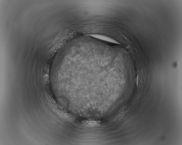 X0000115690553200912031445