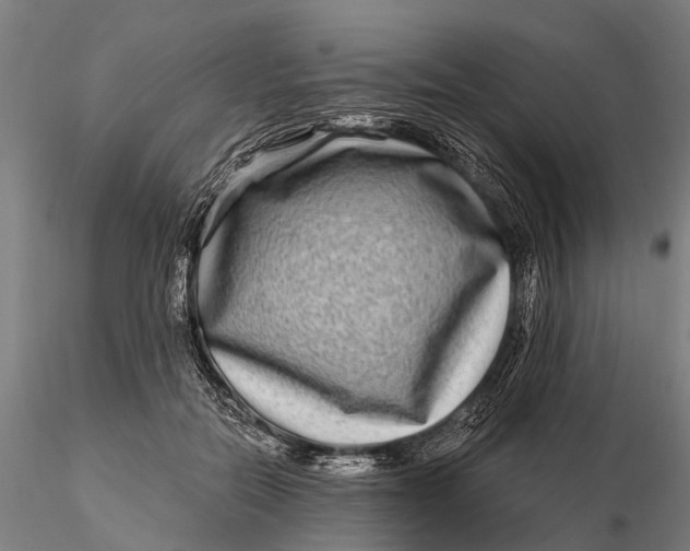 X0000115690554200912031445