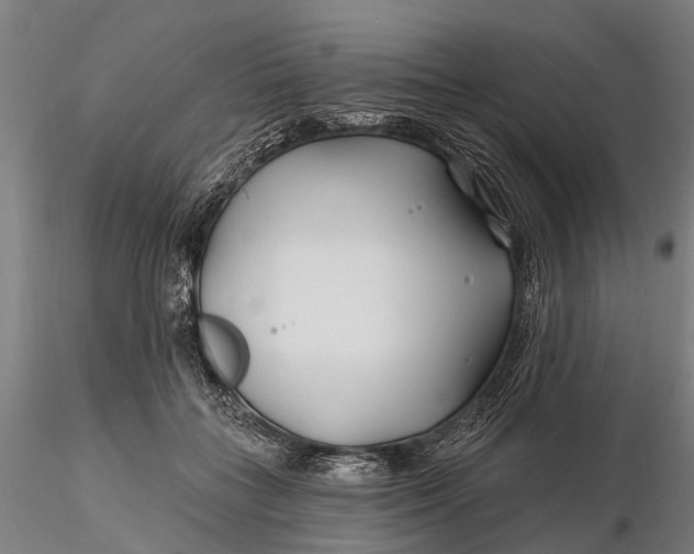 X0000115690555200912031445