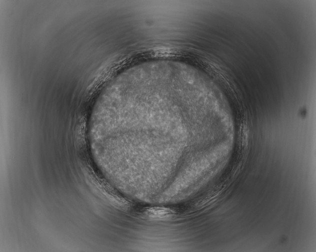 X0000115690557200912031445