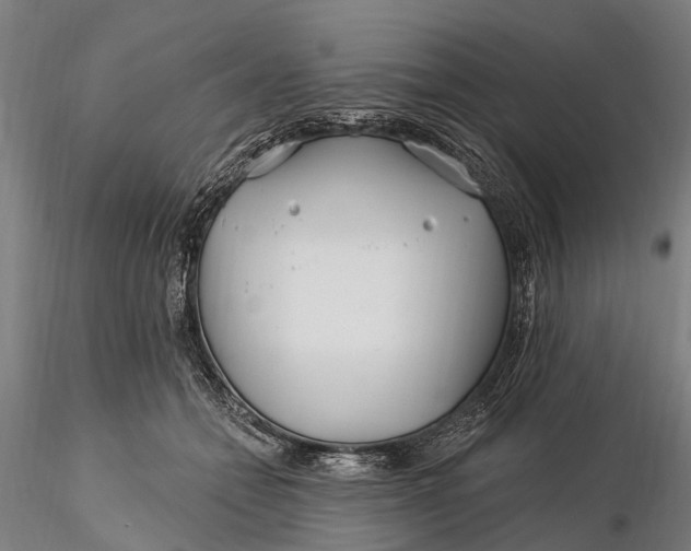 X0000115690558200912031445