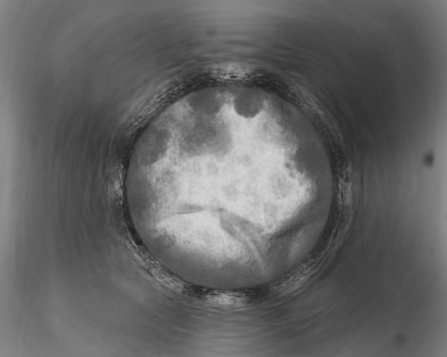 X0000115690561200912031445