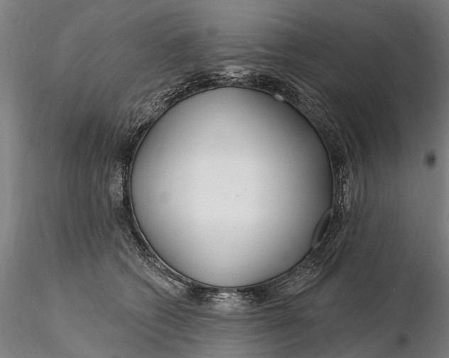 X0000115690562200912031445