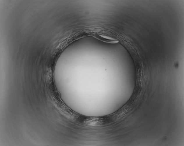 X0000115690563200912031445