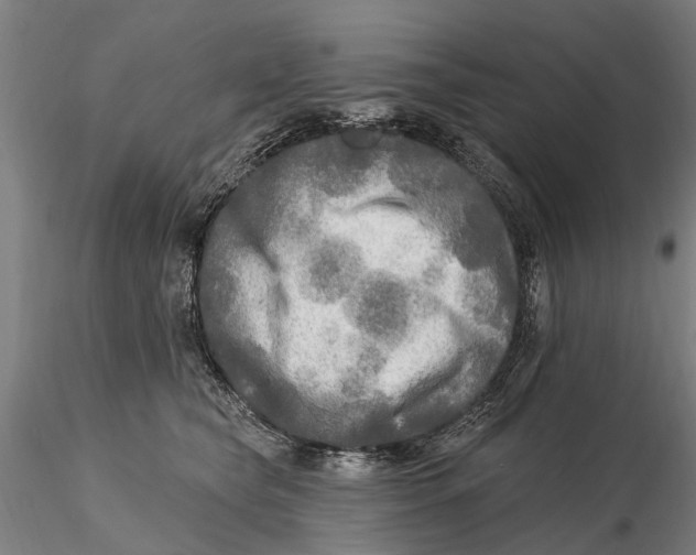 X0000115690565200912031445