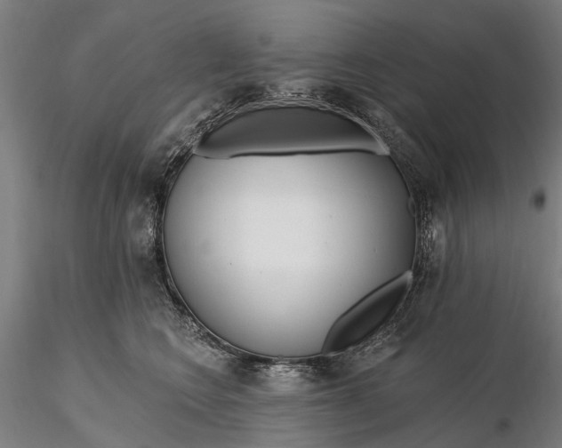 X0000115690566200912031445