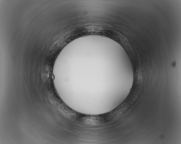 X0000115690567200912031445