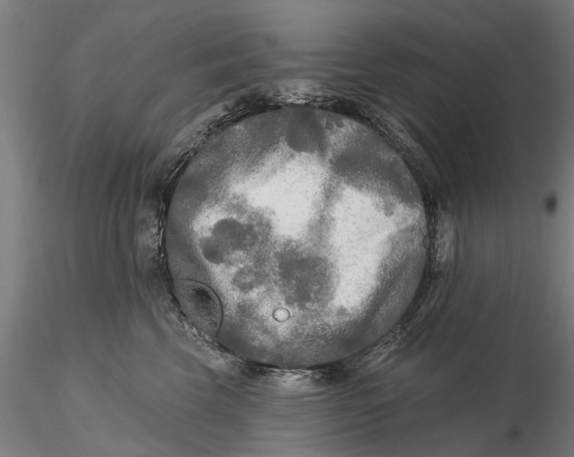 X0000115690569200912031445