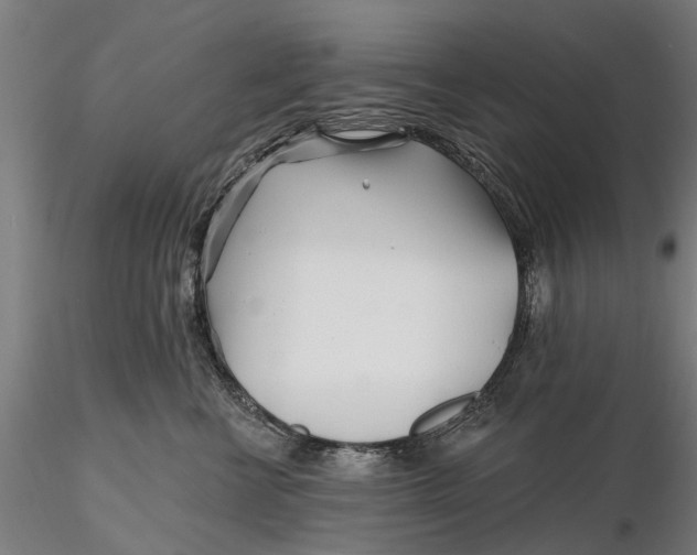 X0000115690570200912031445