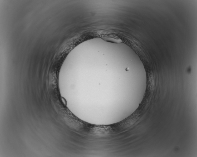 X0000115690571200912031445