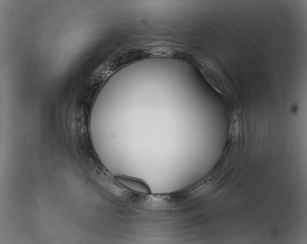 X0000115690573200912031445