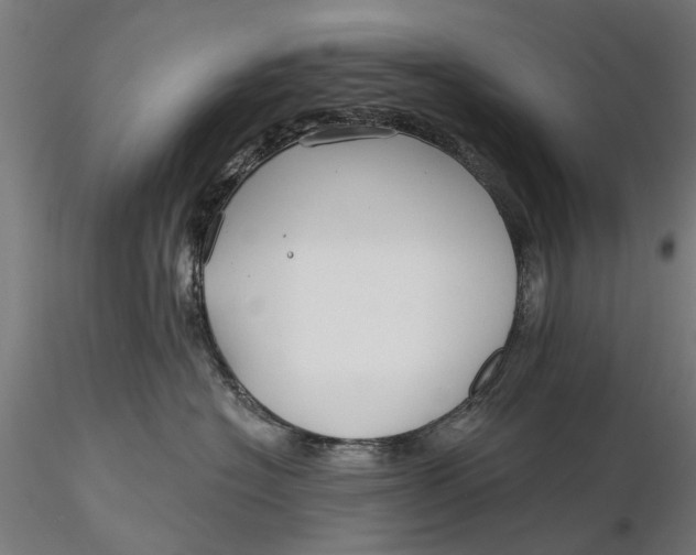 X0000115690574200912031445