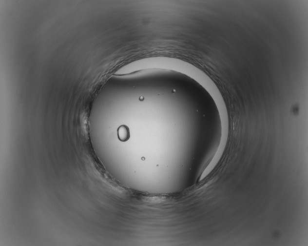 X0000115690575200912031445