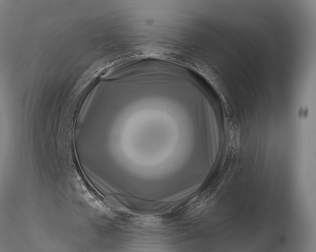 X0000115690577200912031444