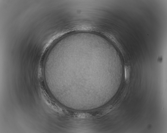 X0000115690579200912031444