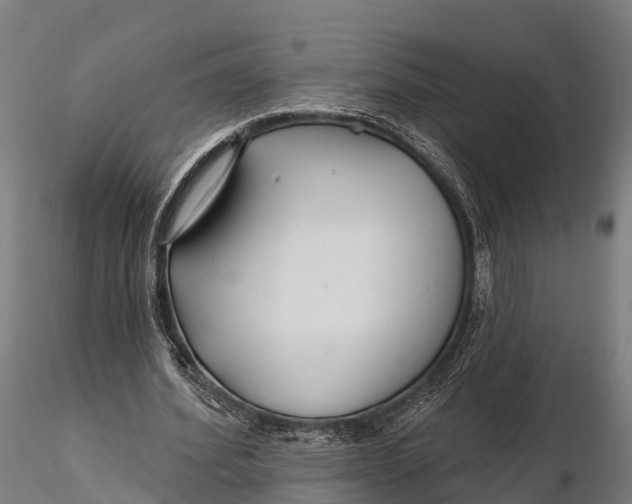 X0000115690580200912031444