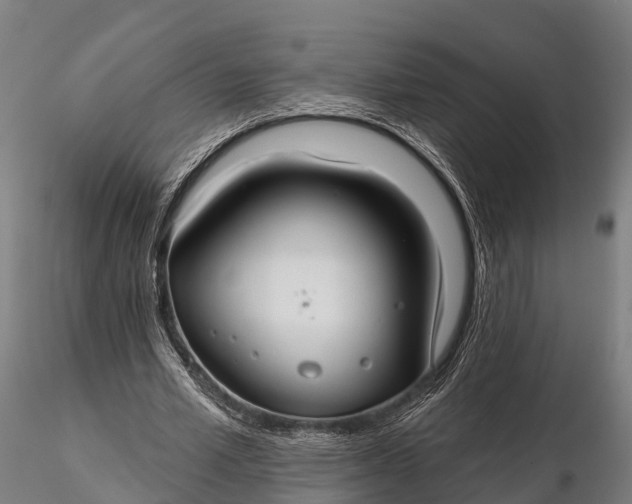 X0000115690581200912031444