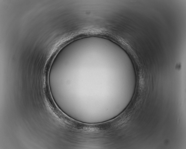 X0000115690582200912031444