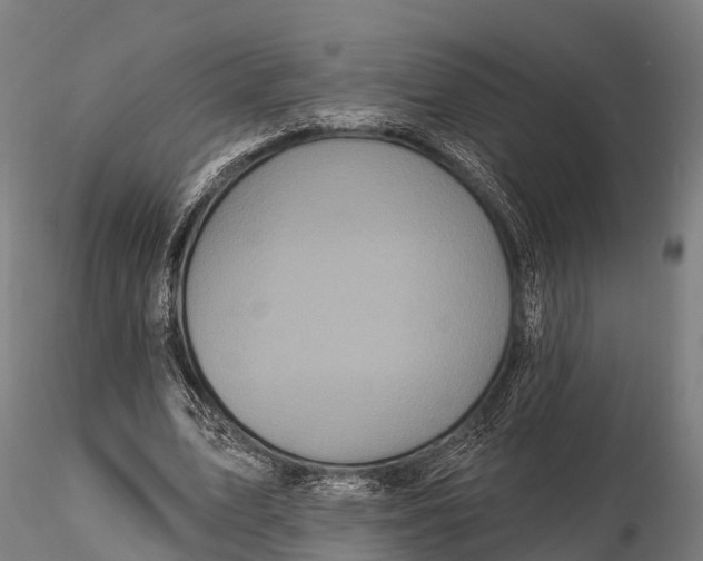 X0000115690583200912031444