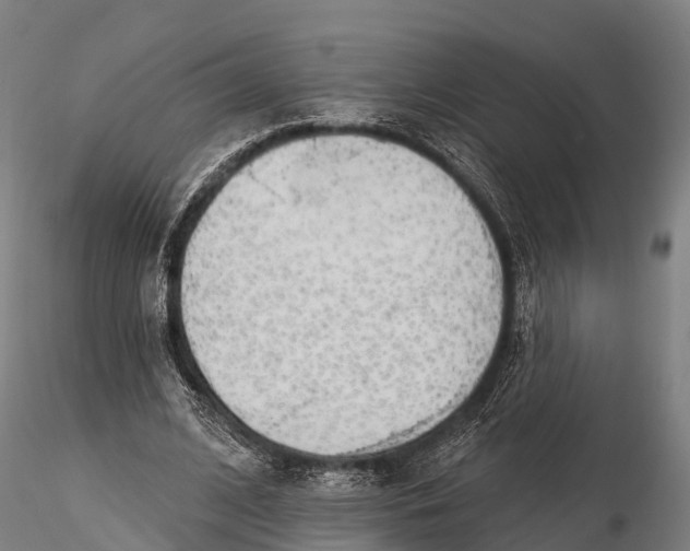 X0000115690584200912031444