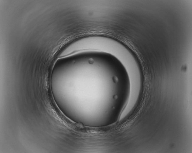 X0000115690585200912031444