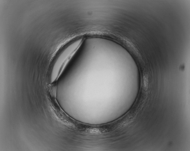 X0000115690588200912031444