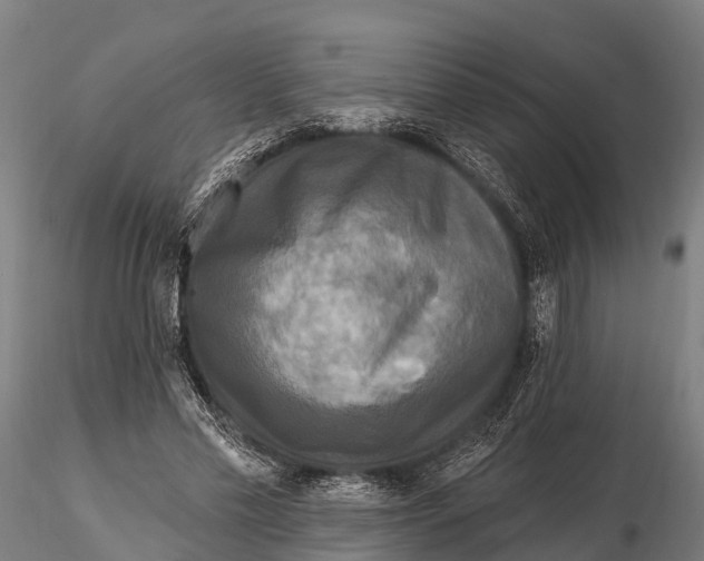 X0000115690589200912031444