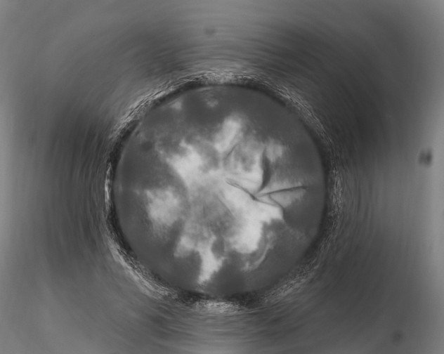 X0000115690590200912031444