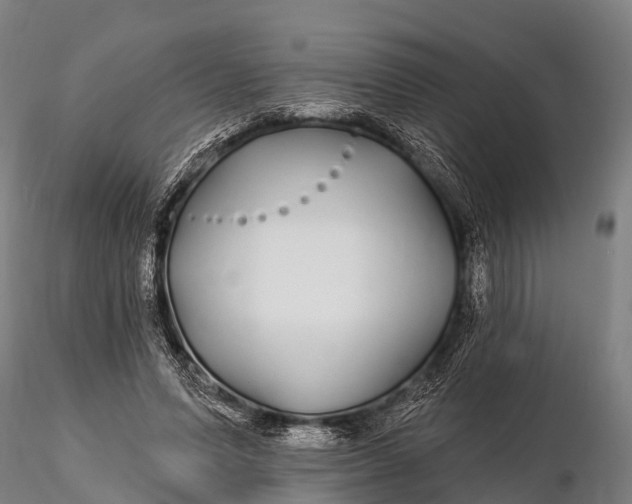 X0000115690591200912031444