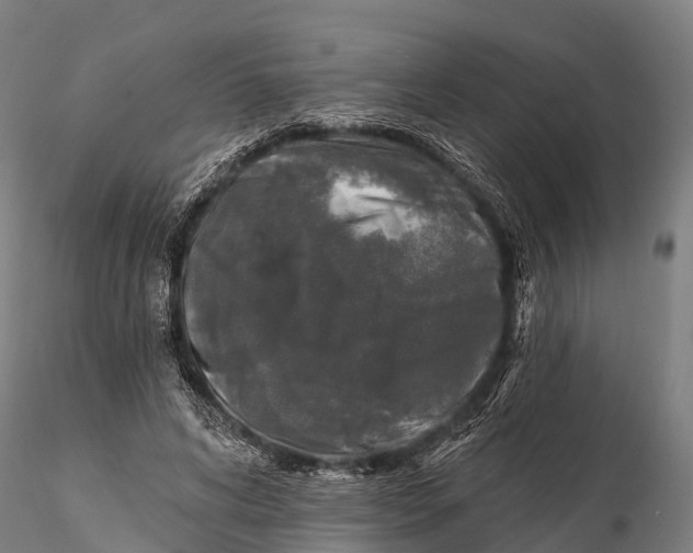 X0000115690592200912031444