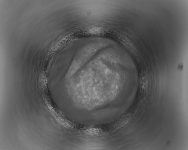 X0000115690593200912031444