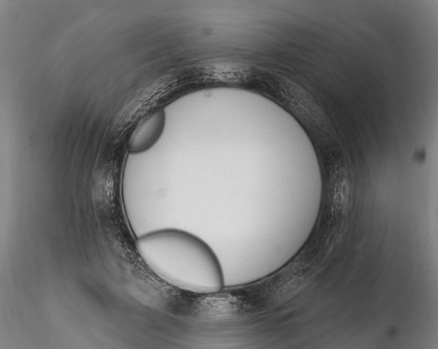 X0000115690595200912031444