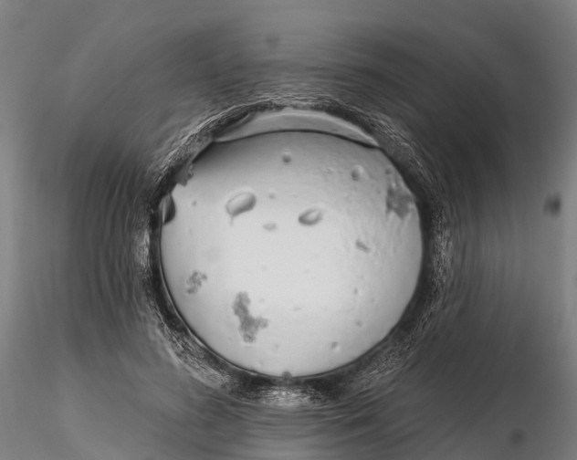 X0000115690596200912031444