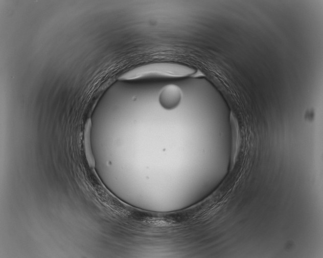 X0000115690597200912031444