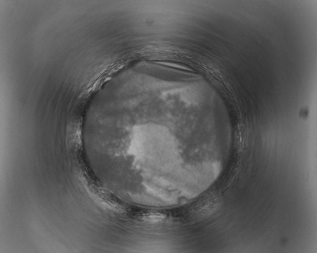 X0000115690598200912031444