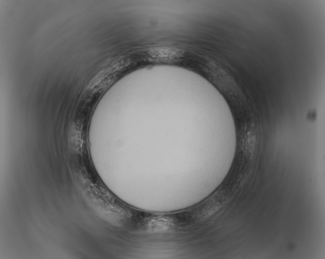 X0000115690599200912031444