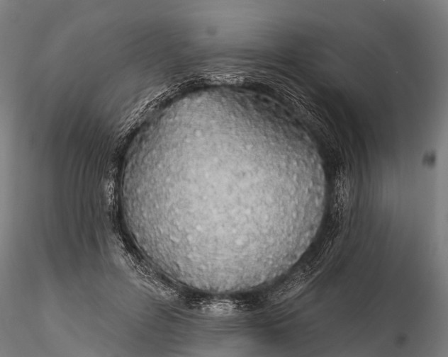 X0000115690600200912031444