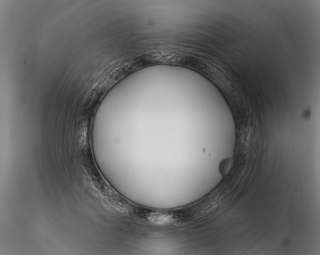 X0000115690602200912031444