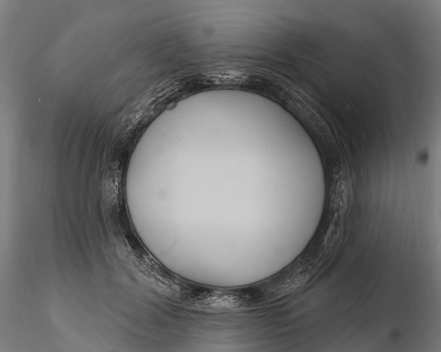 X0000115690604200912031444