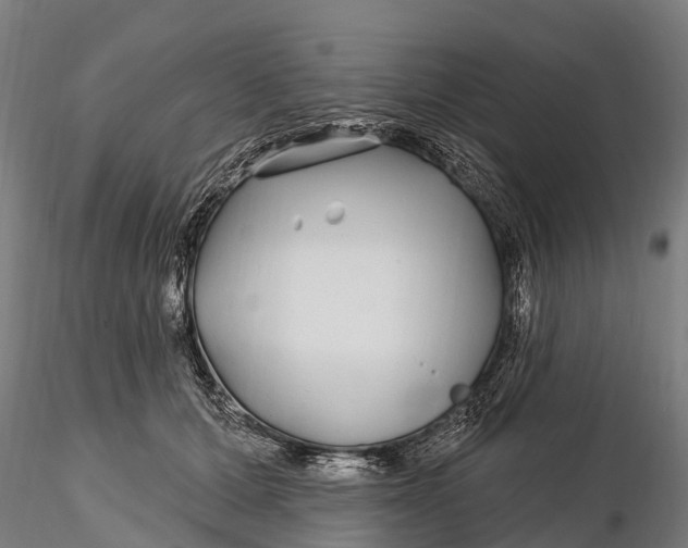 X0000115690607200912031444