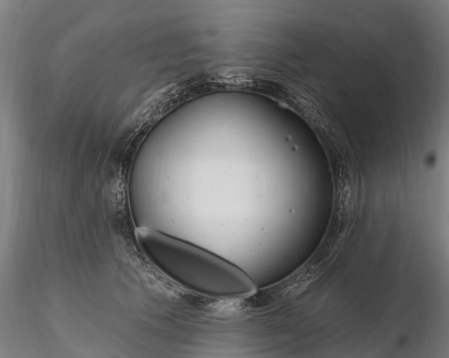 X0000115690609200912031444