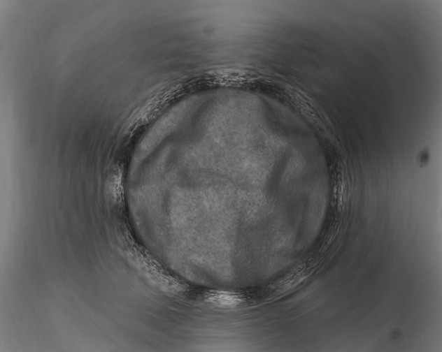 X0000115690610200912031444